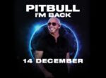 PITBULL