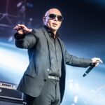 PITBULL - Image 2